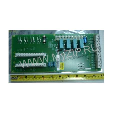 KM357463G02