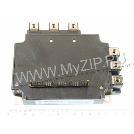 PM100RL1A120