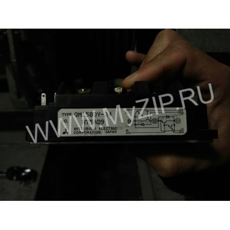 KM261534