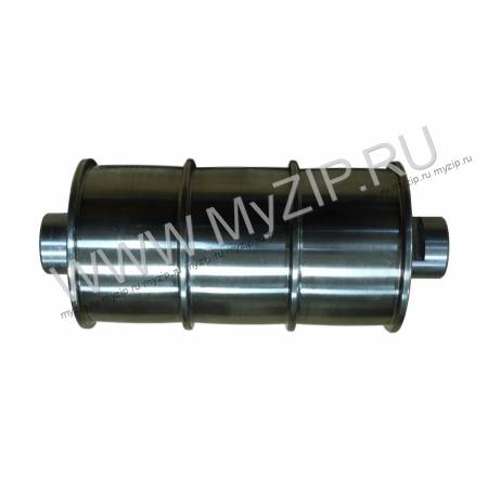 AAA20780A1