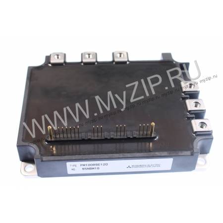 PM100RSE120