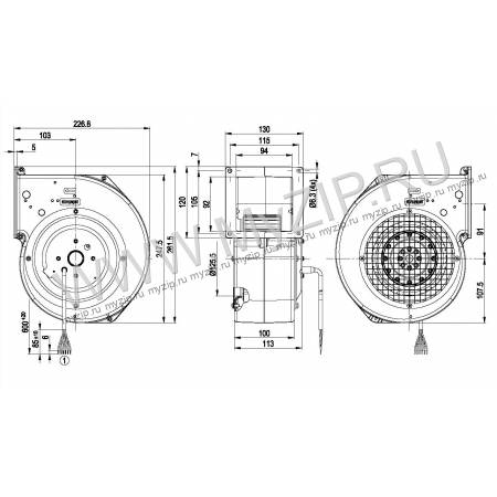 G2D146BF0207