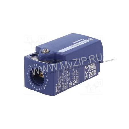 ZCP21