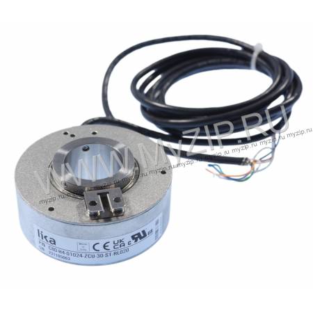 C80-H-1024ZCU430L2, C80-H4-01024-ZCU-30-ST-RL020 , EAA633FOG004